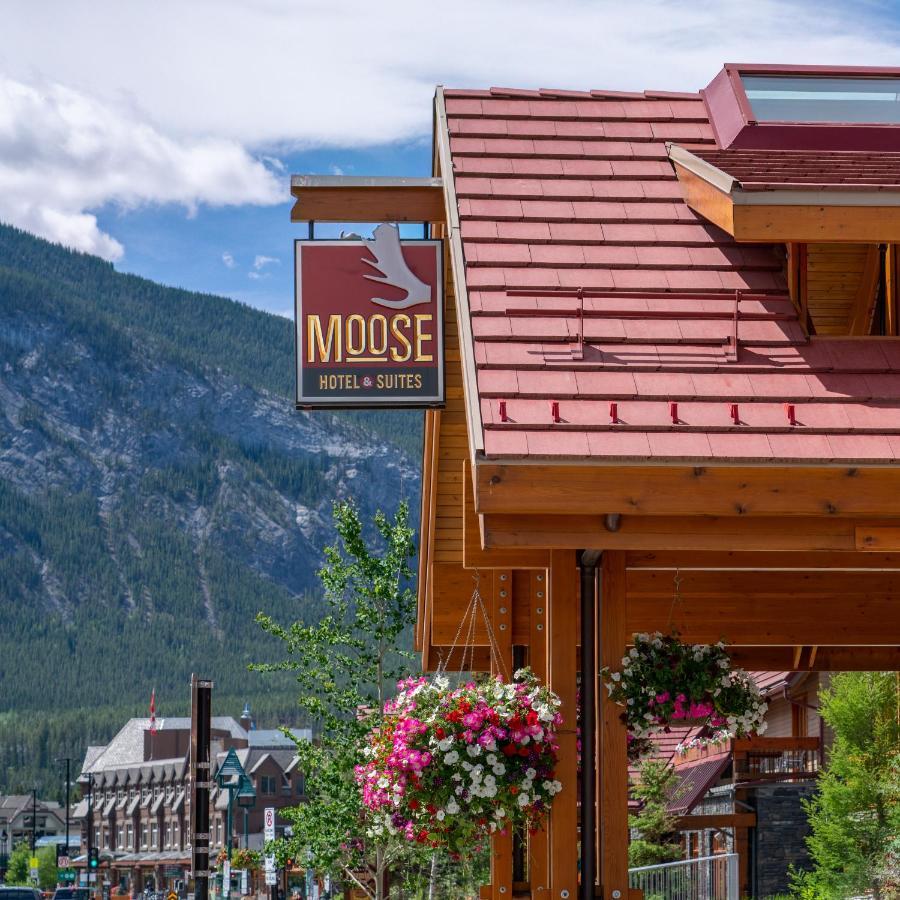 Moose Hotel And Suites Банф Экстерьер фото