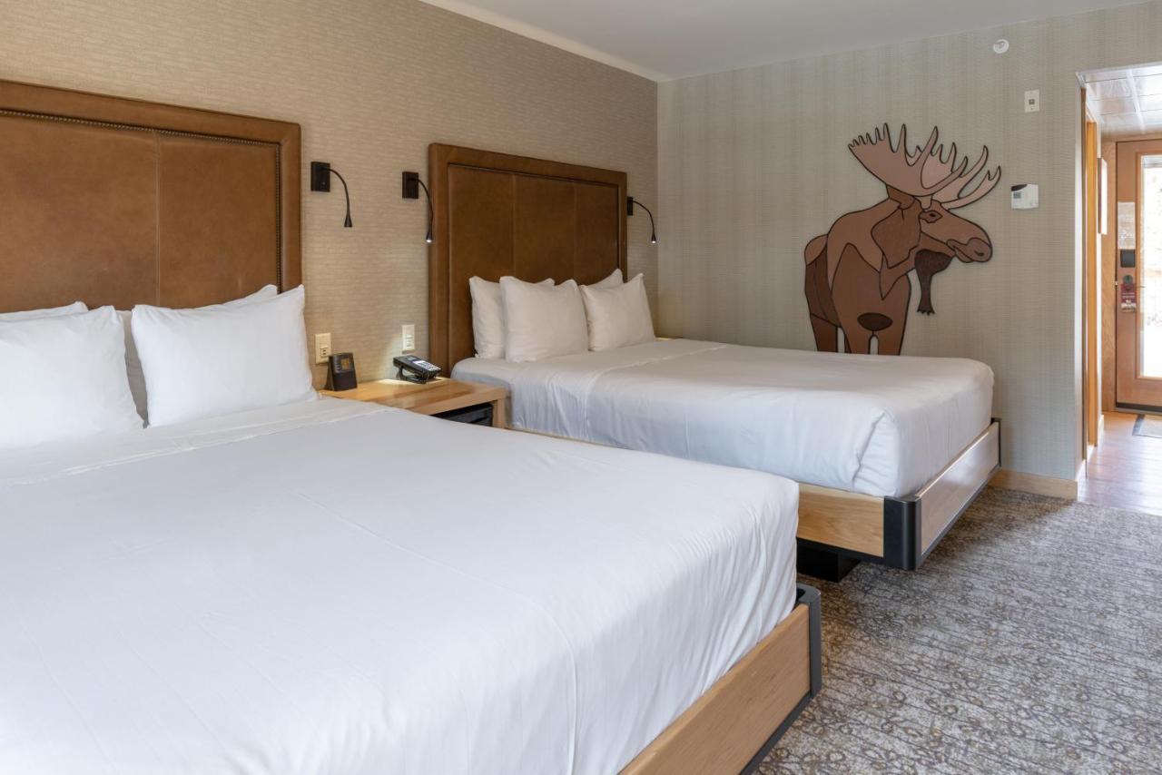Moose Hotel And Suites Банф Экстерьер фото